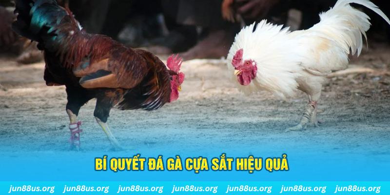 sum club nổ hũ may mắn