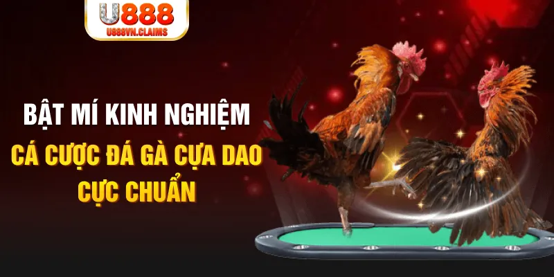 sum club casino hồ tràm có cho người việt vào không