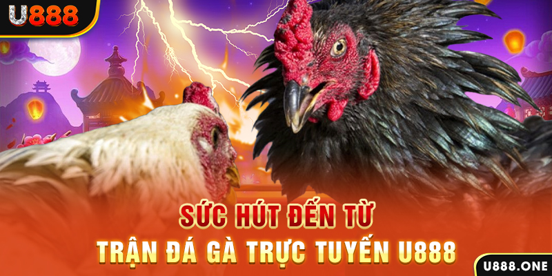 sum club đăng nhập poker 2024