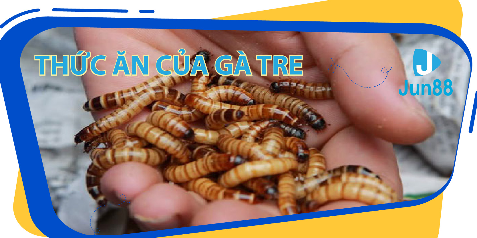 sum club ban ca 30