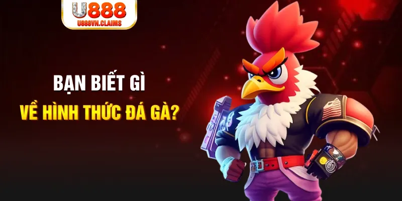sum club đăng nhập liêng tặng tiền