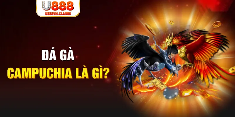 sum club what is the best online casino for real money