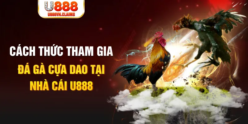 sum club đá gà 88.com