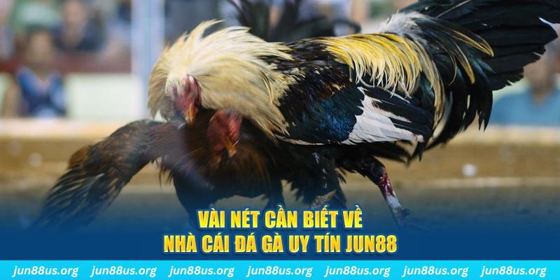 sum club trò máy bay nổ hũ