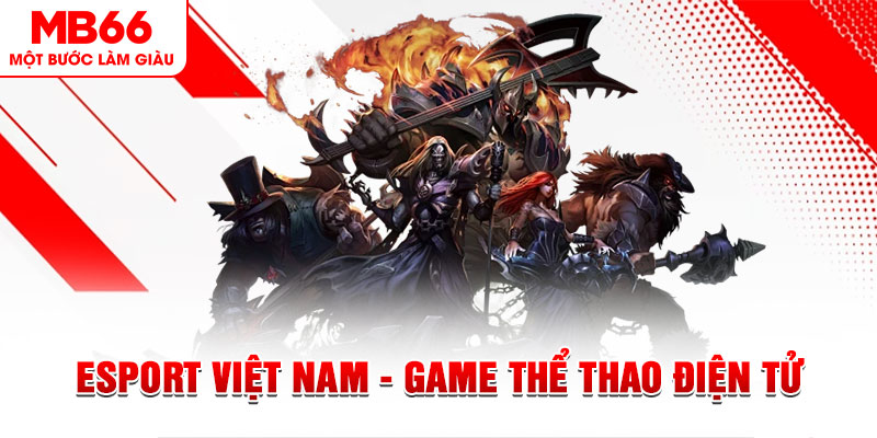 sum club xổ số sóc trăng