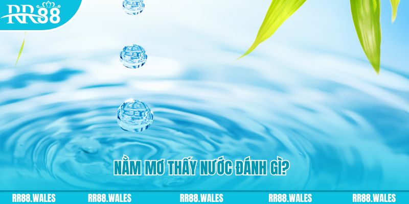 sum club xổ số trực tiếp miền bắc