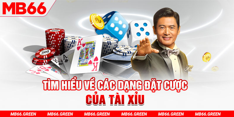 sum club what is a casino loyalty program