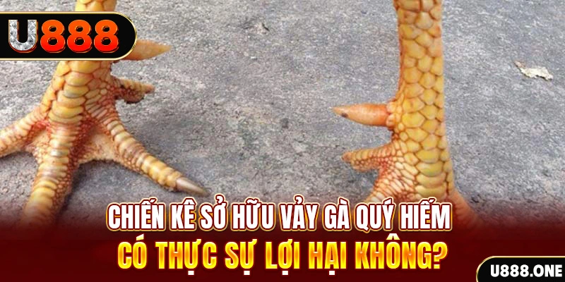 sum club xổ số miền trung
