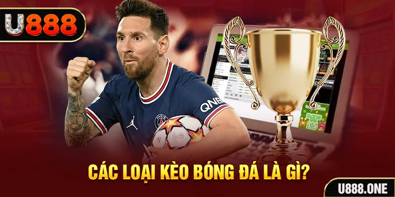sum club Tôm Cua Cá 2