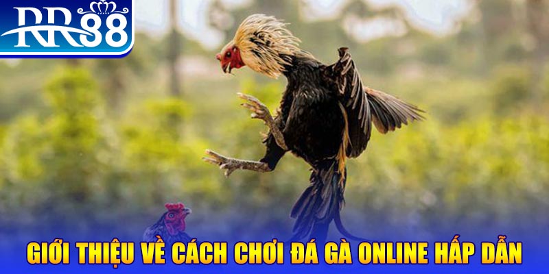 sum club EvoPlay Điện Tử
