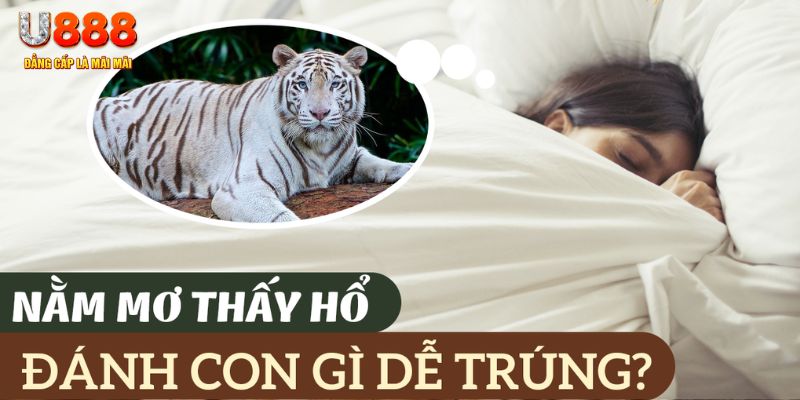 sum club nohu .mx nổ hủ là gì