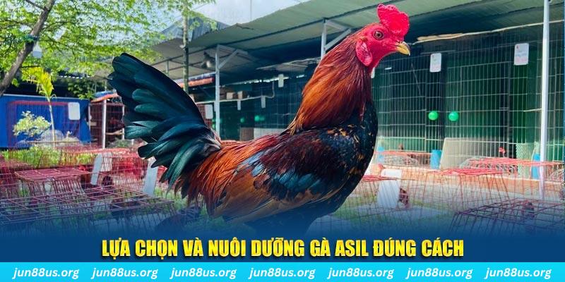 sum club nổ hũ thần tài là gì