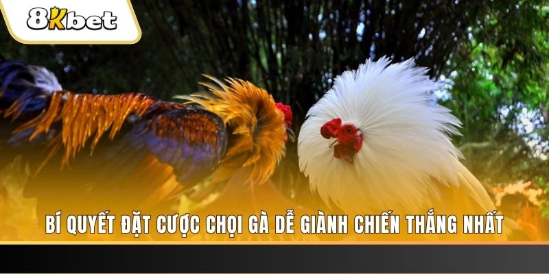 sum club nổ hũ chơi như thế nào