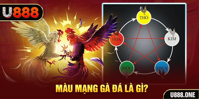 sum club V8 Game Bài 3d