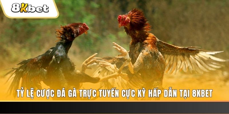 sum club xổ số miền bắc chủ nhật