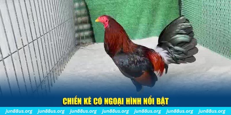 sum club qq88 bắn cá
