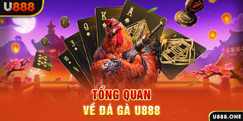 sum club xổ số vietlott