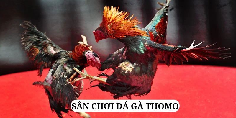 sum club quay nổ hũ là gì