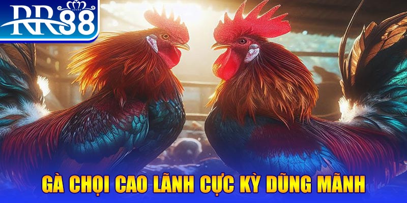 sum club đăng nhập poker live